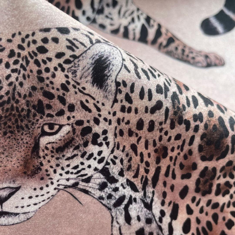 Caramel Pantheress Fabric