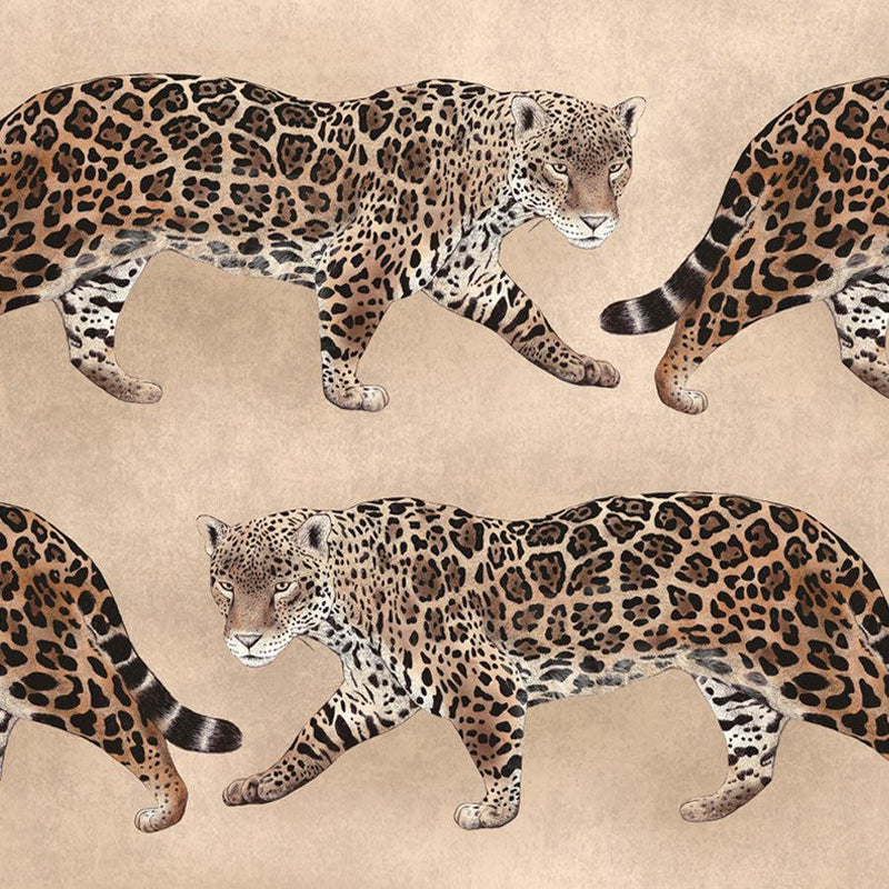 Caramel Pantheress Wallpaper