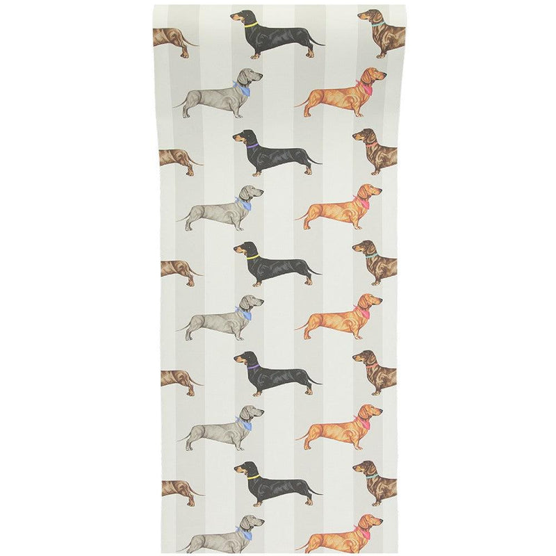 Dachshund Wallpaper - Natural Stripe - Graduate Collection