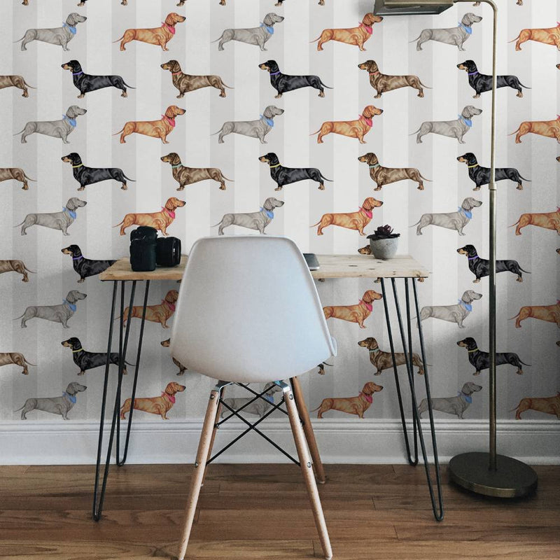 Dachshund Wallpaper - Natural Stripe - Graduate Collection