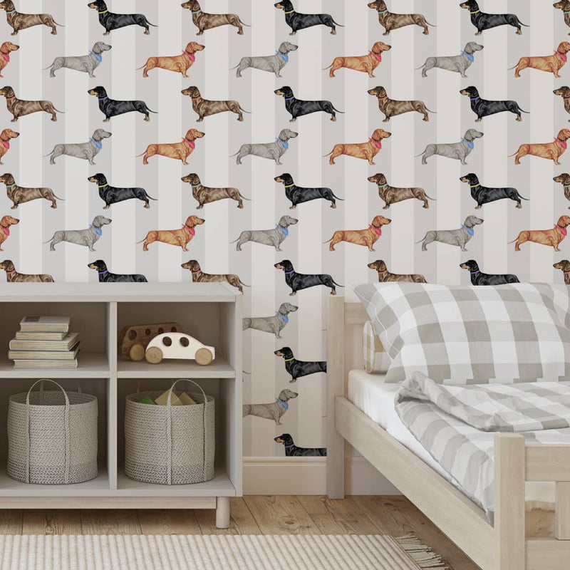 Dachshund Wallpaper - Natural Stripe - Graduate Collection