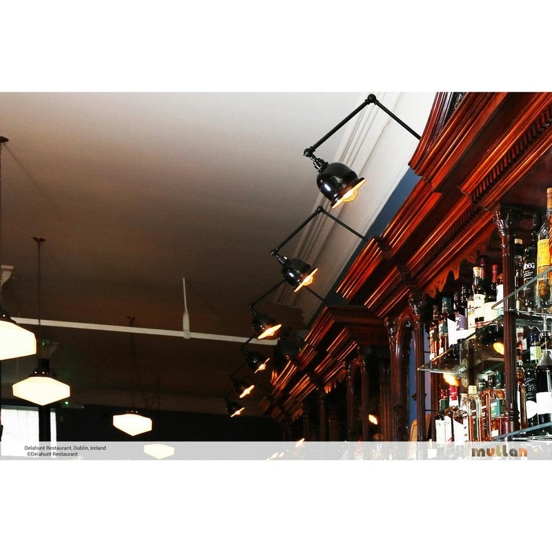 Dale Vintage Adjustable Picture Light