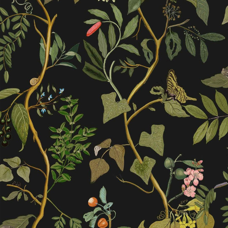 Diderot Wallpaper - Coordonne