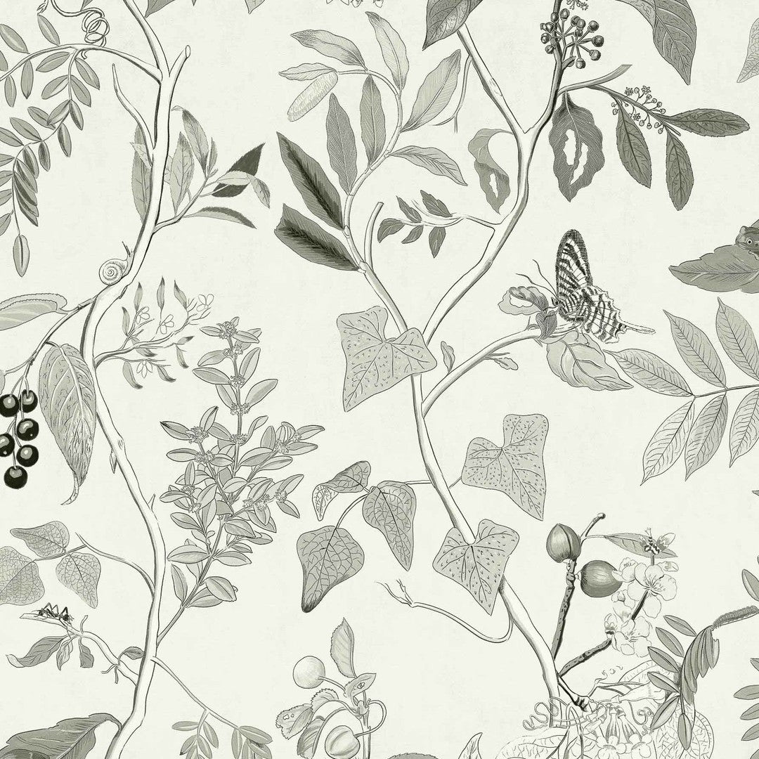 Diderot Wallpaper - Coordonne