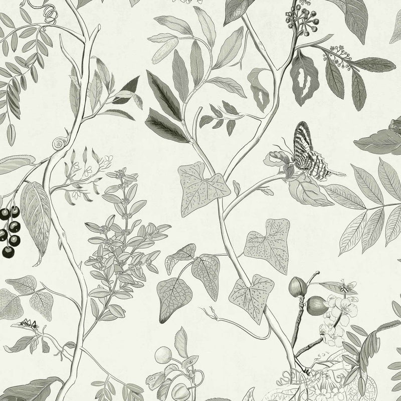 Diderot Wallpaper - Coordonne