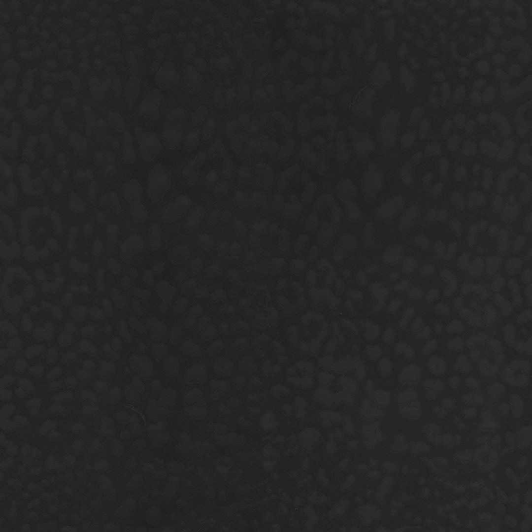 Dolce & Gabbana Leopard Print Wallpaper - Black
