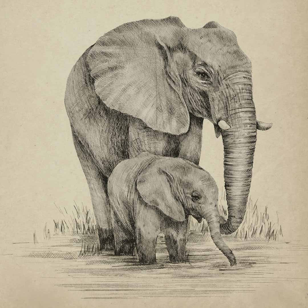 Esther and Niko the Elephants - Fine Art Print - Victoria Sanders