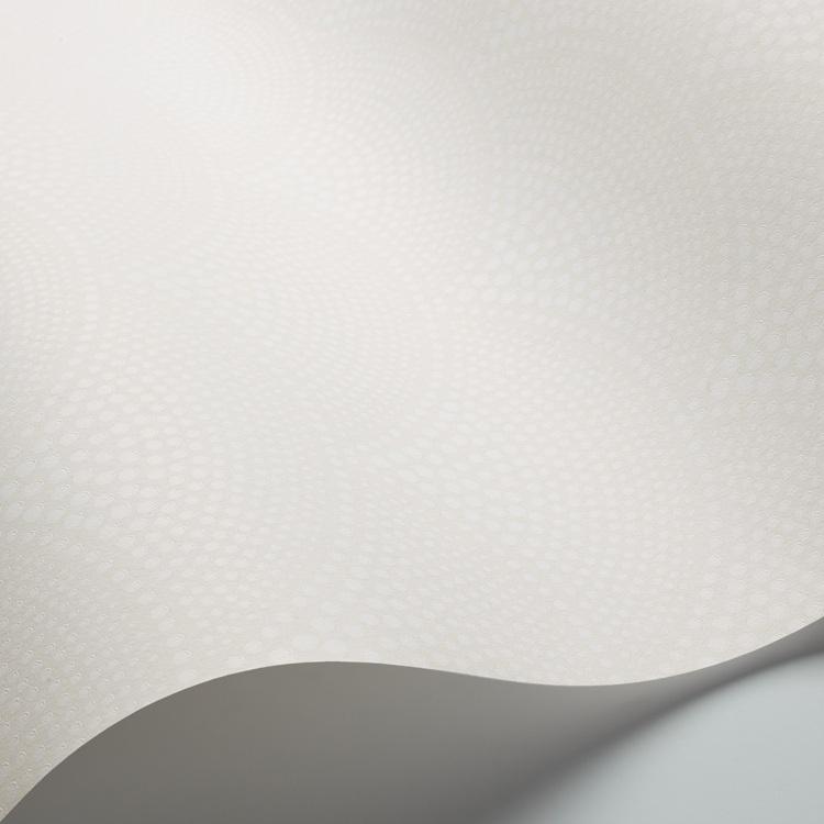 Feather Fan Wallpaper - Cole & Son
