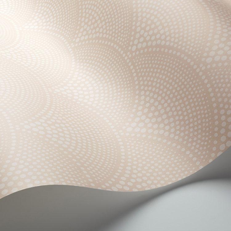 Feather Fan Wallpaper - Cole & Son
