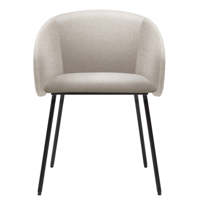 Fern Dining Chair - Set Of Two - Lyon Mink