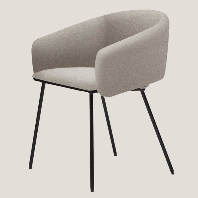 Fern Dining Chair - Set Of Two - Lyon Mink