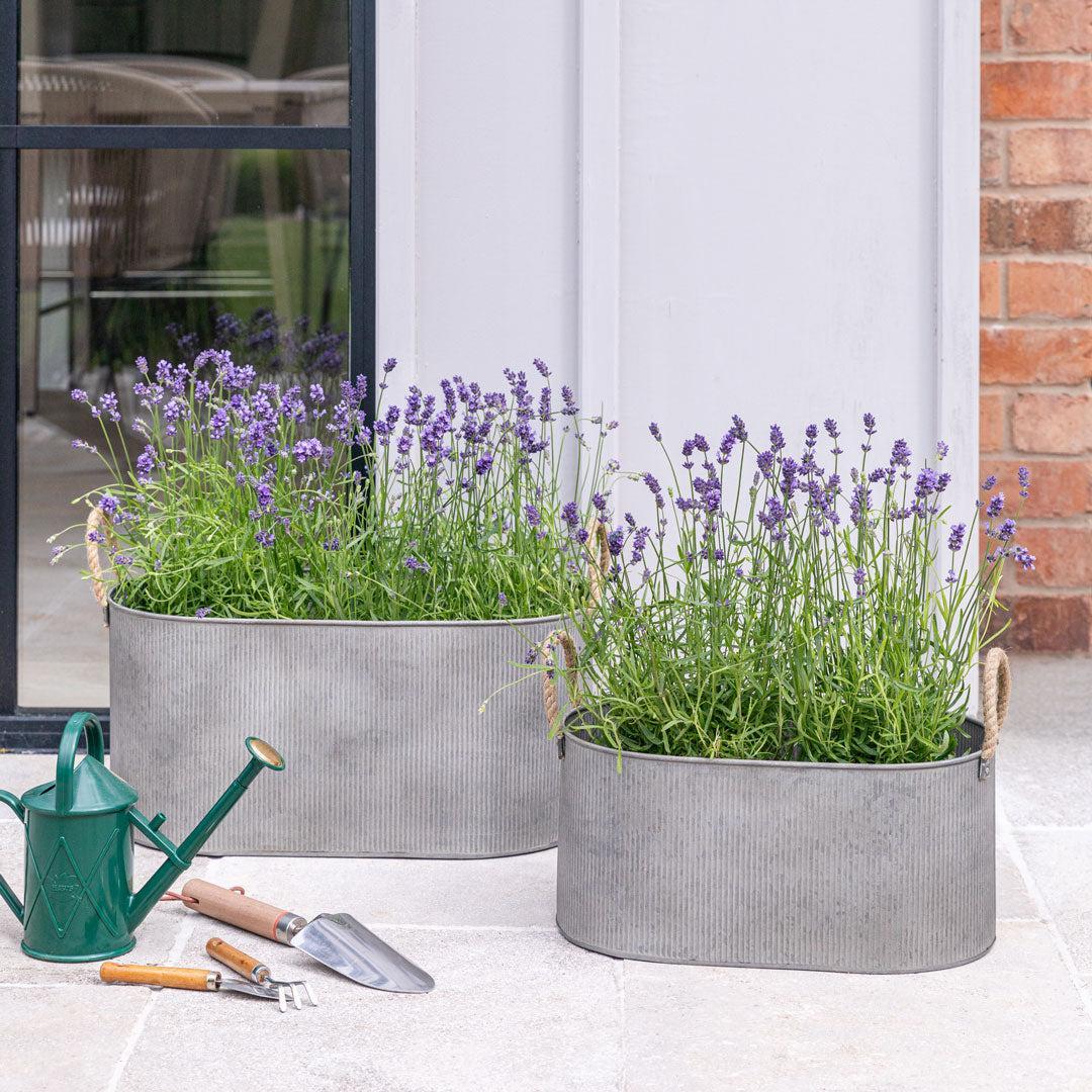 Galvanised Trough Planter - Set Of Two