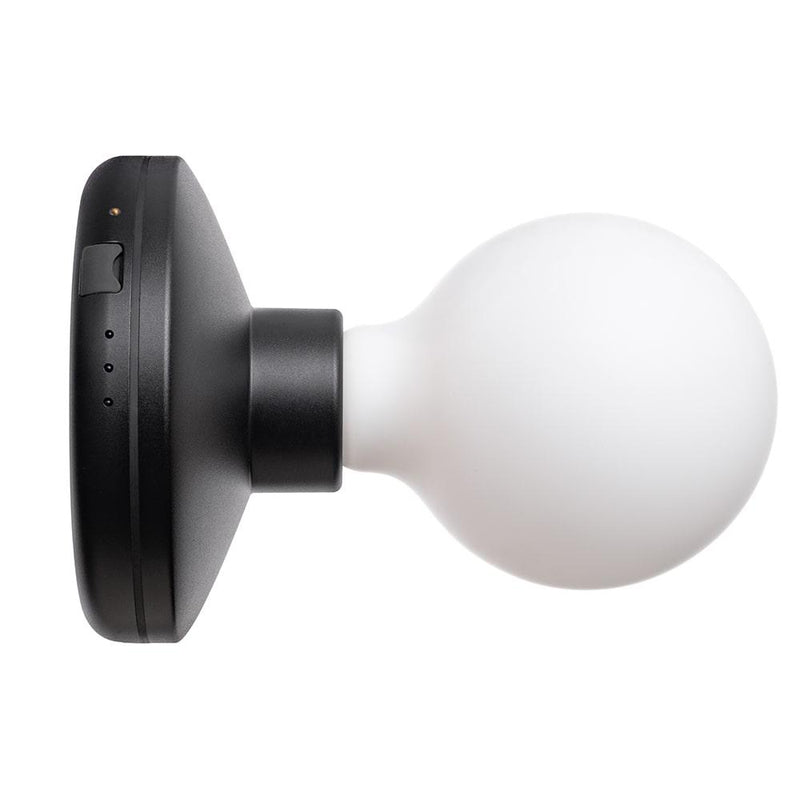 Humble Bee Wall Light Black Frosted