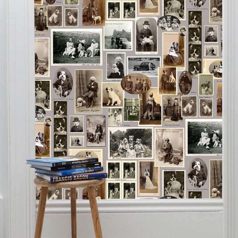 Jolly Boy Wallpaper - Grey - Graduate Collection