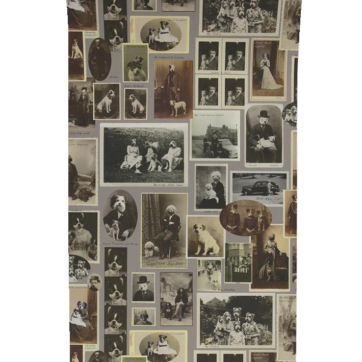 Jolly Boy Wallpaper - Grey - Graduate Collection