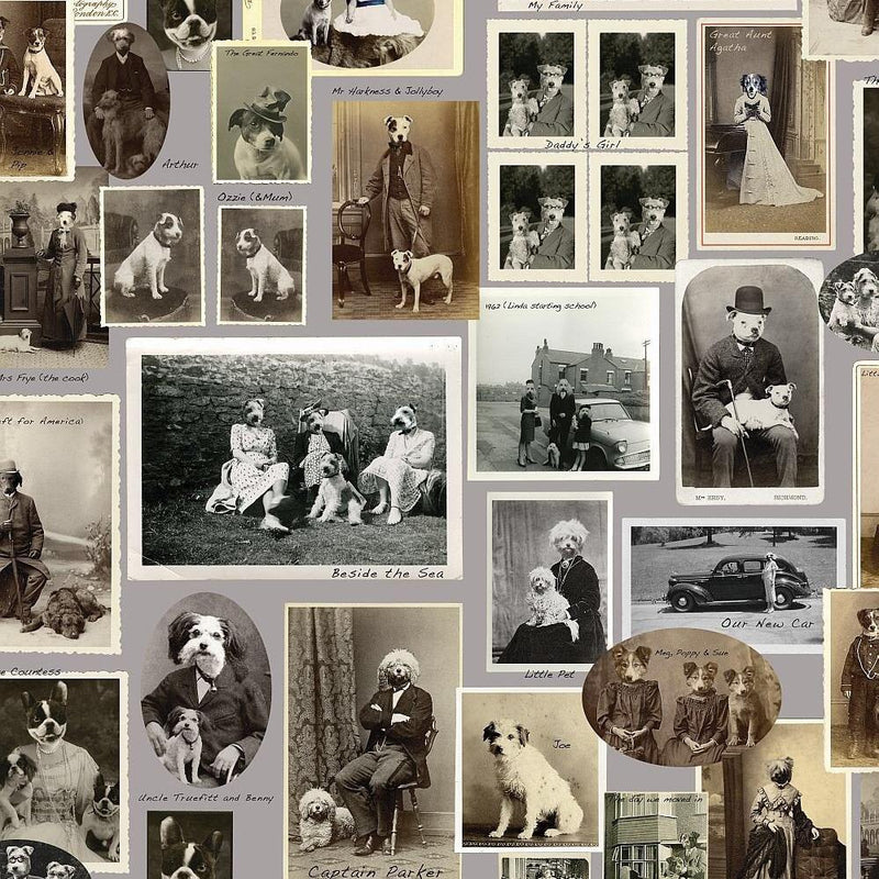 Jolly Boy Wallpaper - Grey - Graduate Collection