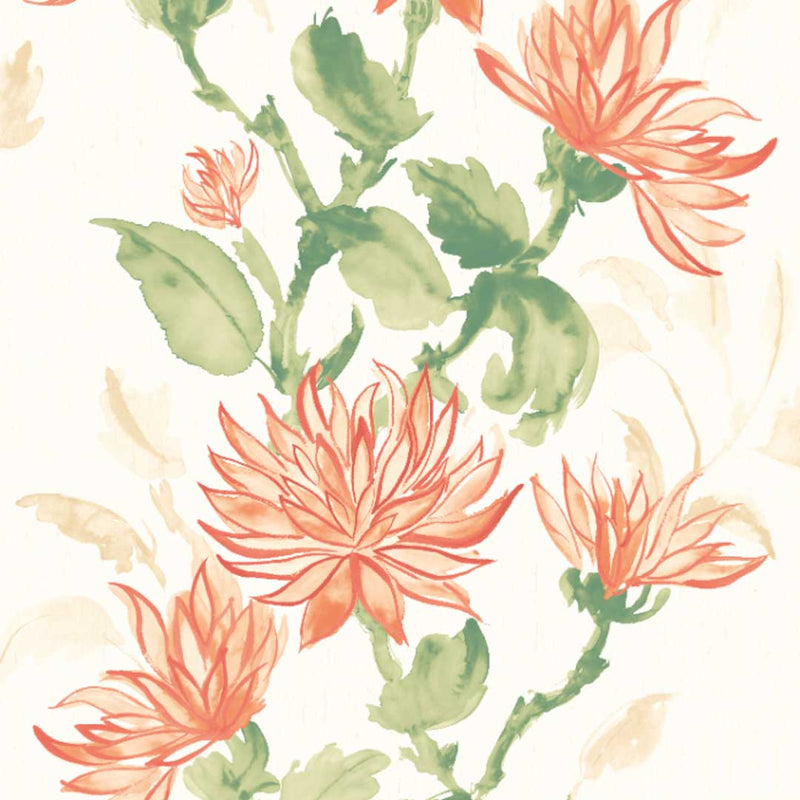 Kiku Wallpaper - Hanashi Collection - Ohpopsi