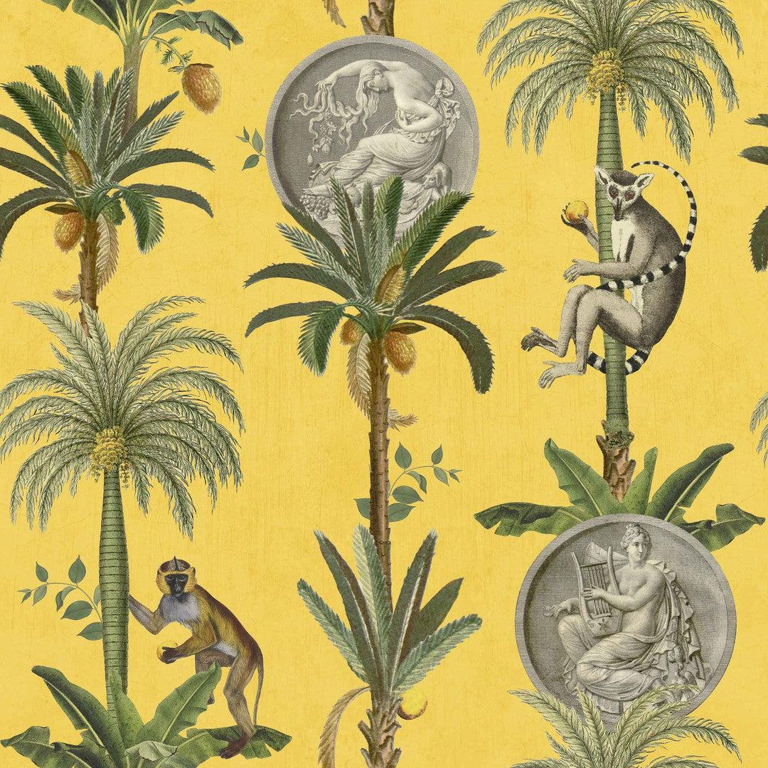 Lemurs Wallpaper - Coordonne