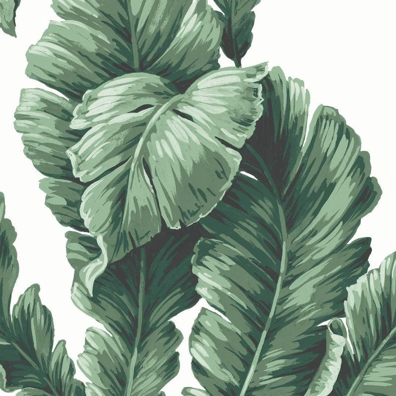 Lets Go Bananas Wallpaper - Green