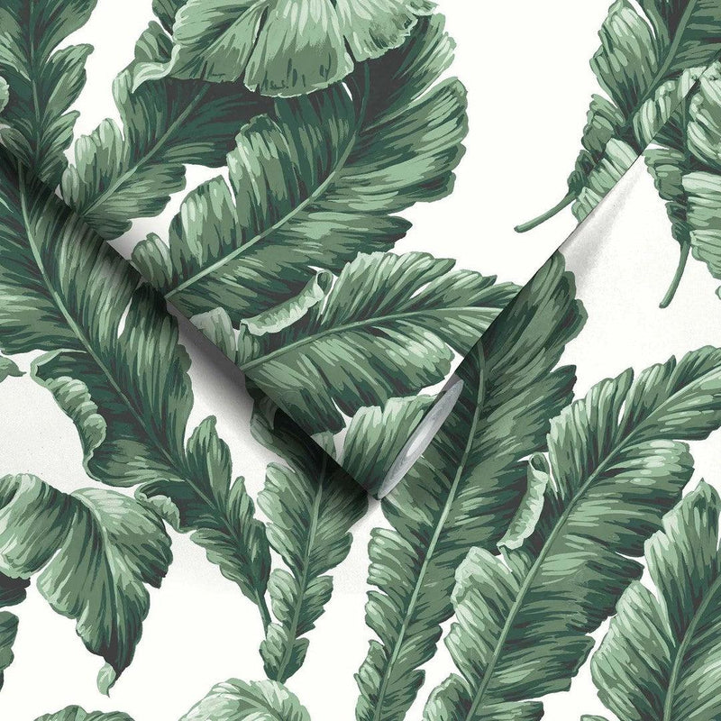 Lets Go Bananas Wallpaper - Green