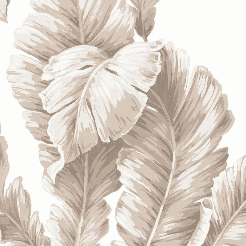 Lets Go Bananas Wallpaper - Natural