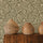 Letti Wallpaper - Alma Collection - Josephine Munsey
