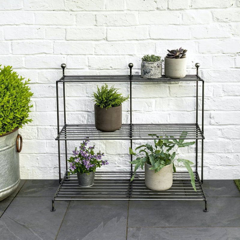 Linear Steel Plant Stand