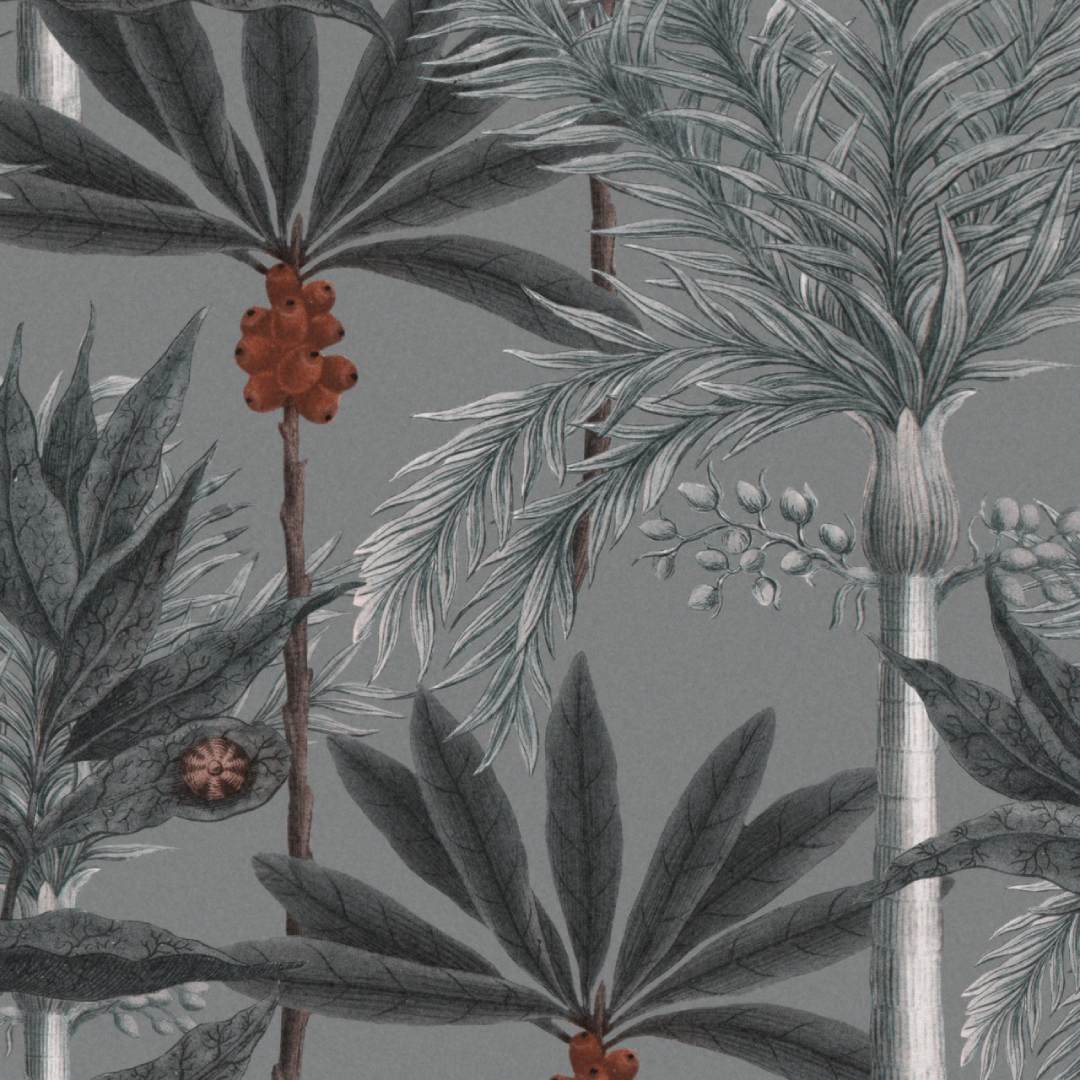 Madagascar Wallpaper - Set of 3 Rolls - MINDTHEGAP