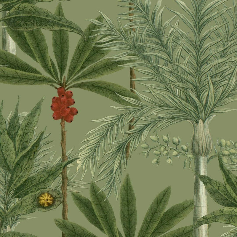 Madagascar Wallpaper - Set of 3 Rolls - MINDTHEGAP