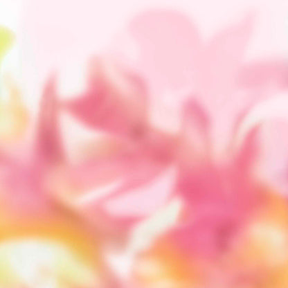 Maravillas Mural - Coco Dávez Colortherapills Collection - Coordonne