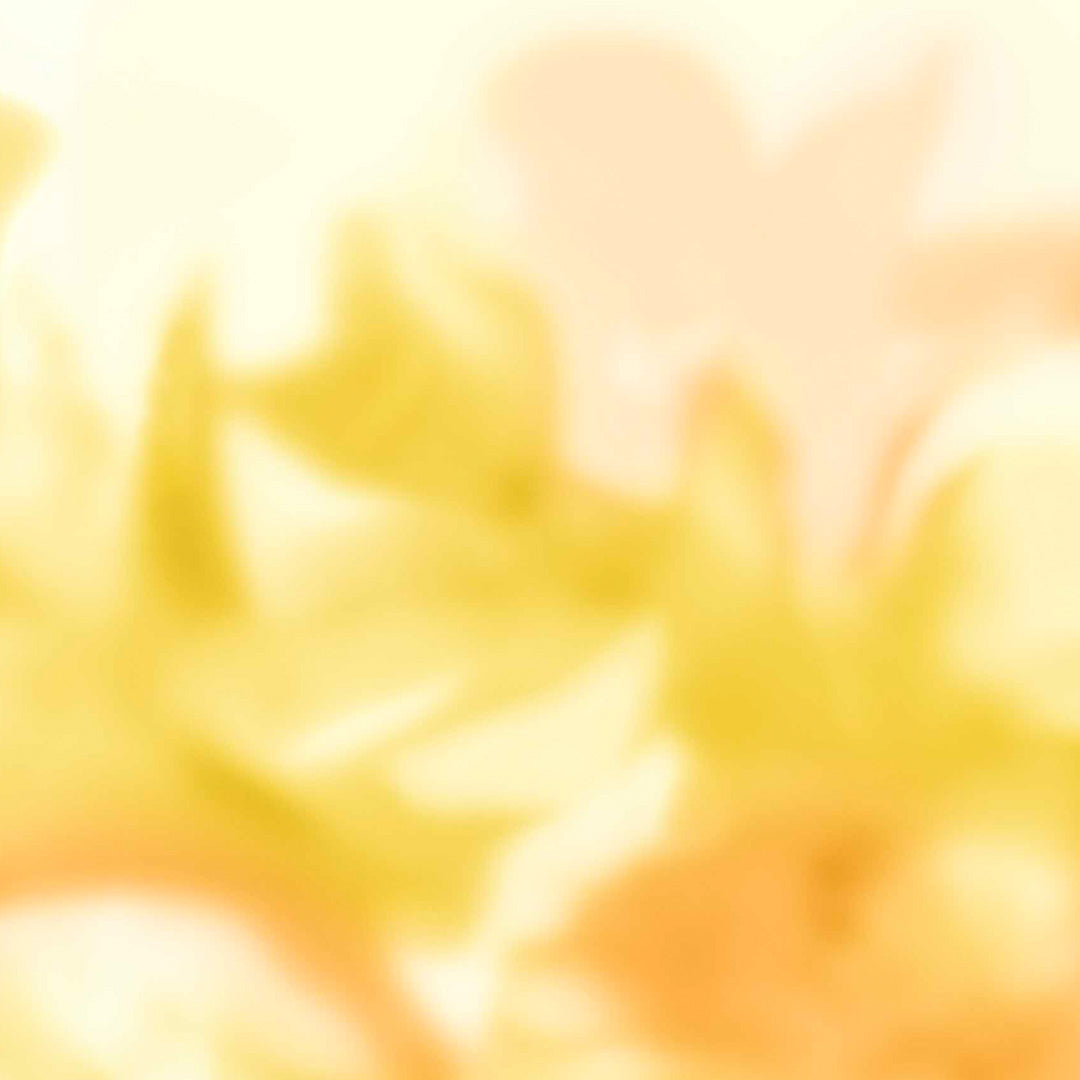 Maravillas Mural - Coco Dávez Colortherapills Collection - Coordonne