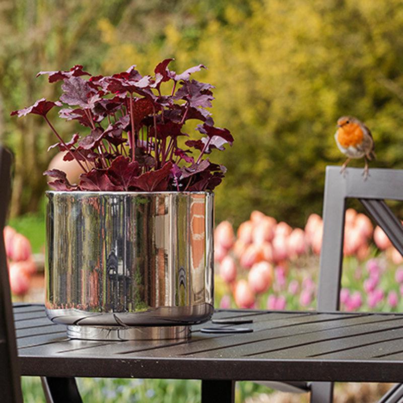 Newlyn Polished Stainless Steel Plant Pot