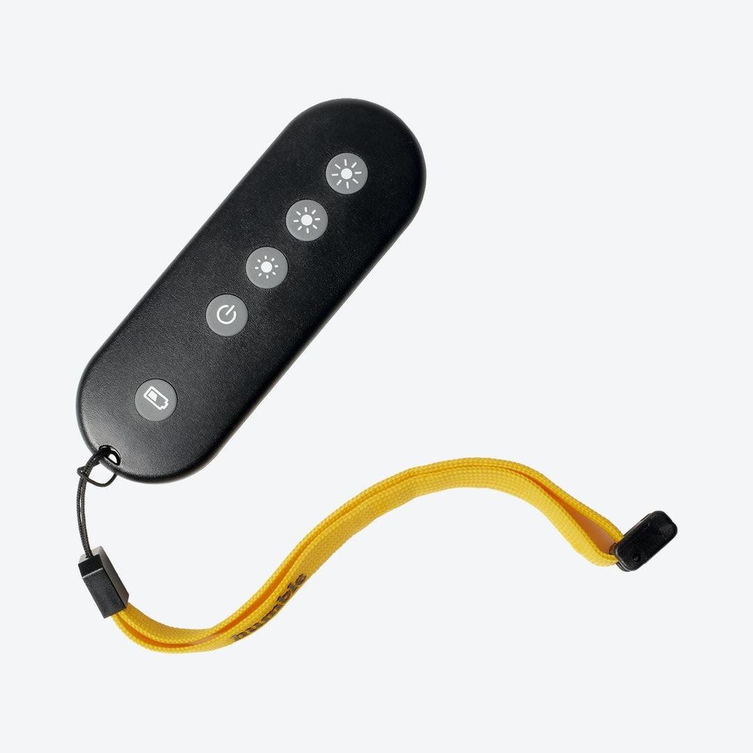 Remote Control Lights