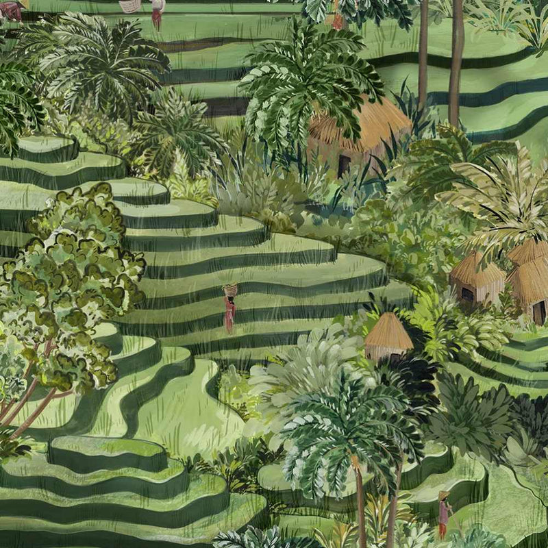 Rice Terrace Max Wallpaper - Green - Brand Mckenzie