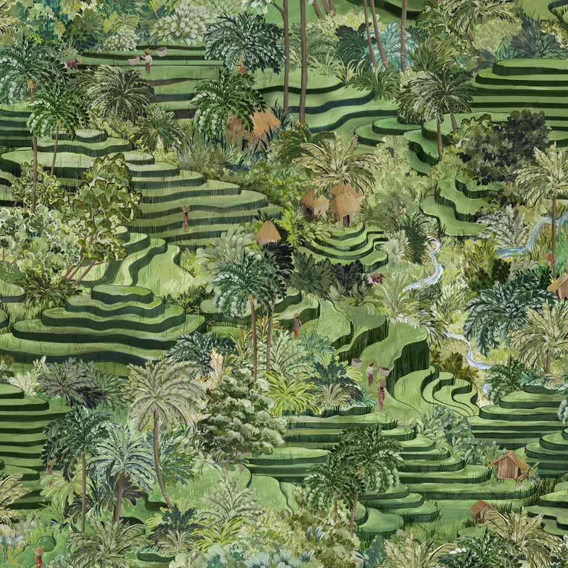 Rice Terrace Max Wallpaper - Green - Brand Mckenzie
