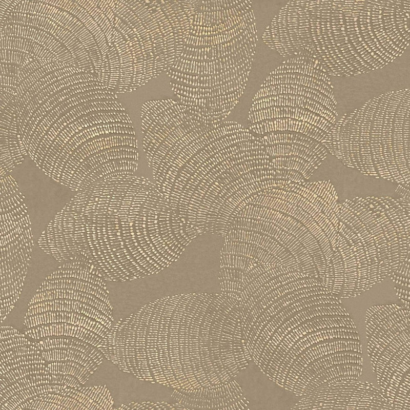 Rif Relief Wallpaper - Coordonne