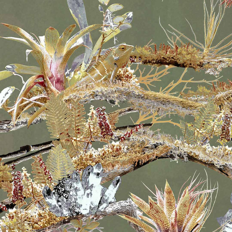 Tree Wallpaper - Paradise Garden - Good & Craft