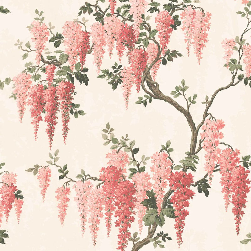 Wisteria Botanical Wallpaper - Coral