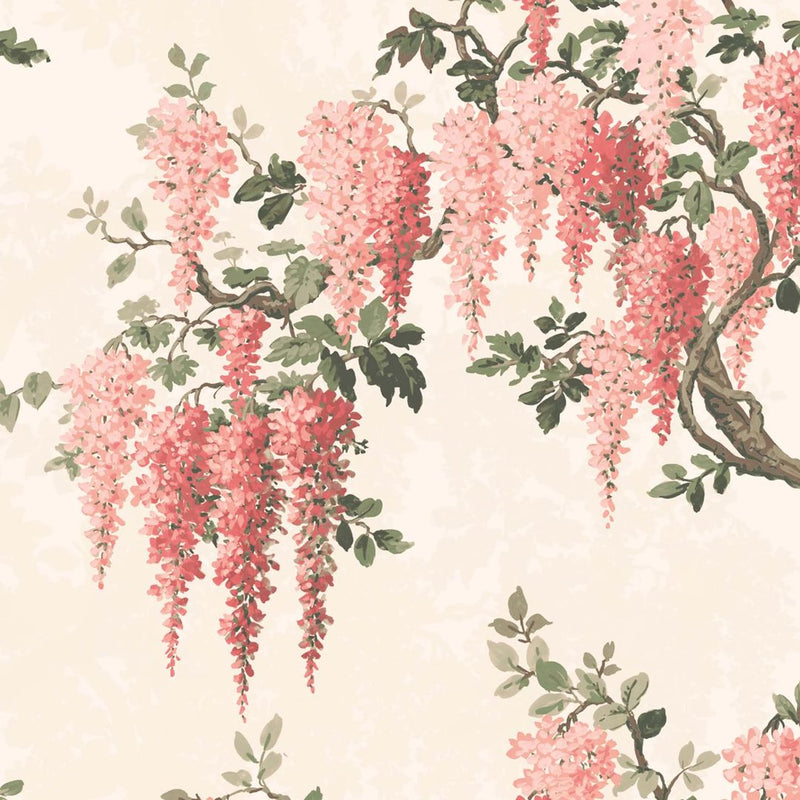 Wisteria Botanical Wallpaper - Coral