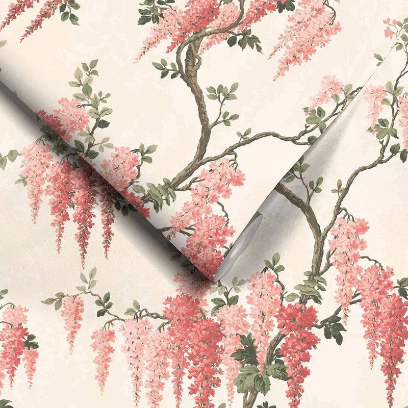 Wisteria Botanical Wallpaper - Coral