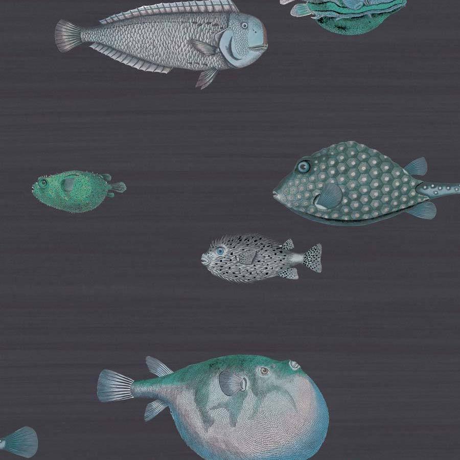 Acquario Wallpaper - Fornasetti Senza Tempo - Cole & Son