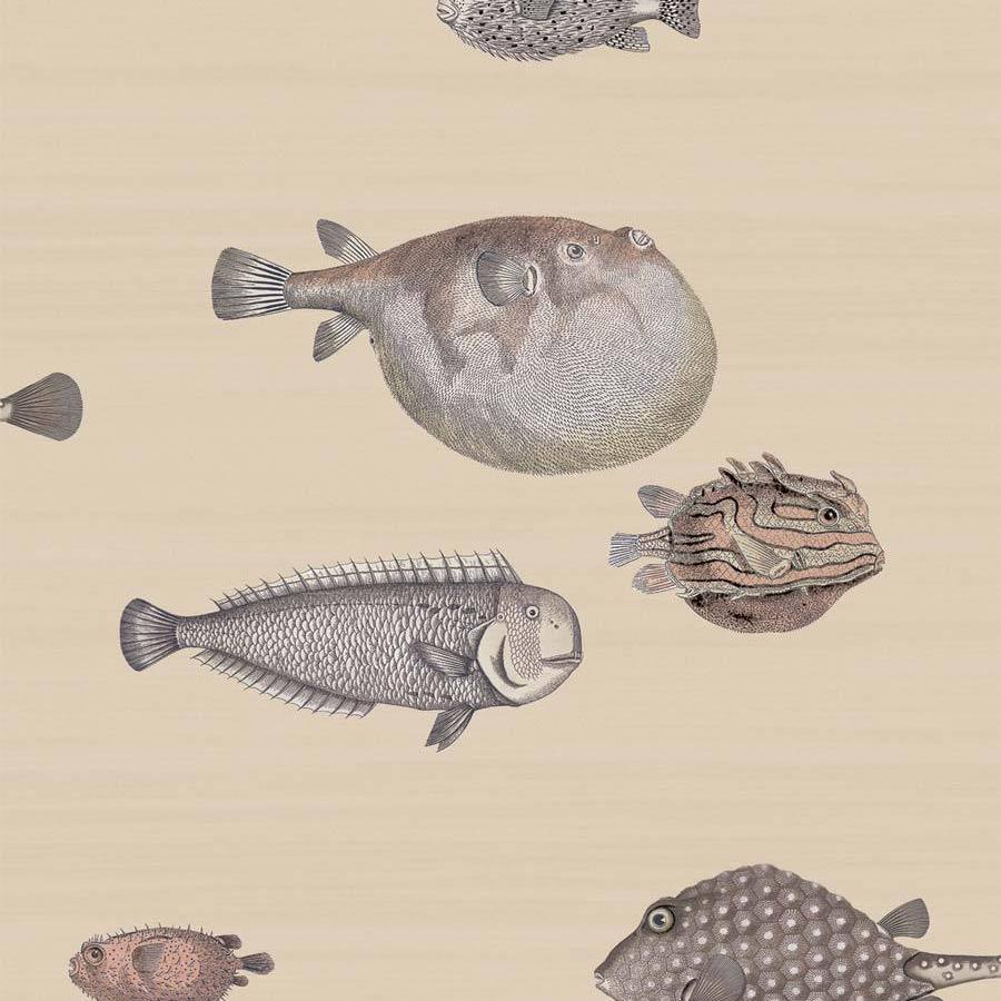 Acquario Wallpaper - Fornasetti Senza Tempo - Cole & Son