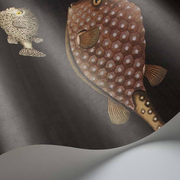 Acquario Wallpaper - Fornasetti Senza Tempo - Cole & Son