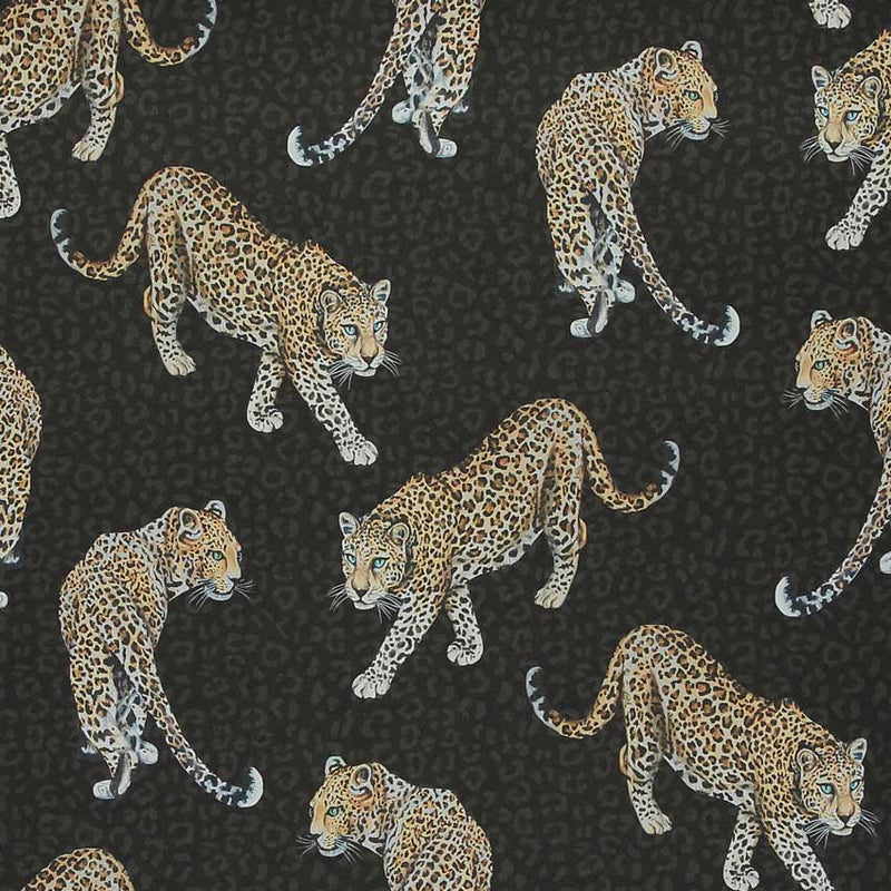 All Over Leopard Wallpaper - Charcoal - Graduate Collection