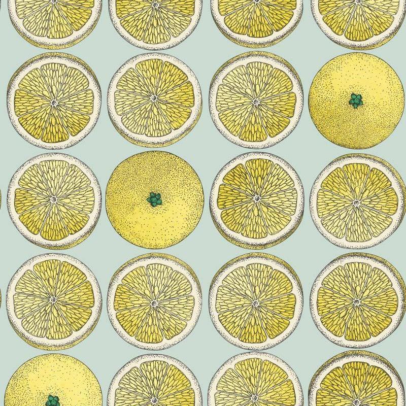 Arance Wallpaper - Fornasetti Senza Tempo - Cole & Son
