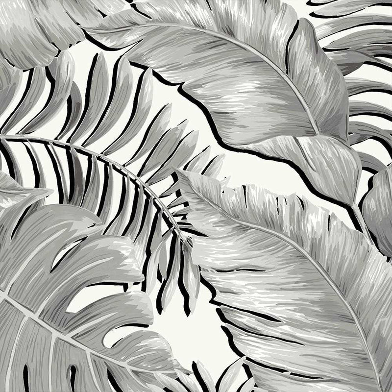 Banana Leaves Max Wallpaper - Black & White - Brand Mckenzie