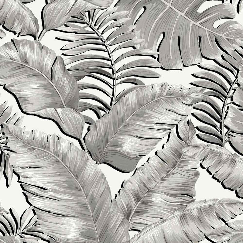 Banana Leaves Max Wallpaper - Black & White - Brand Mckenzie
