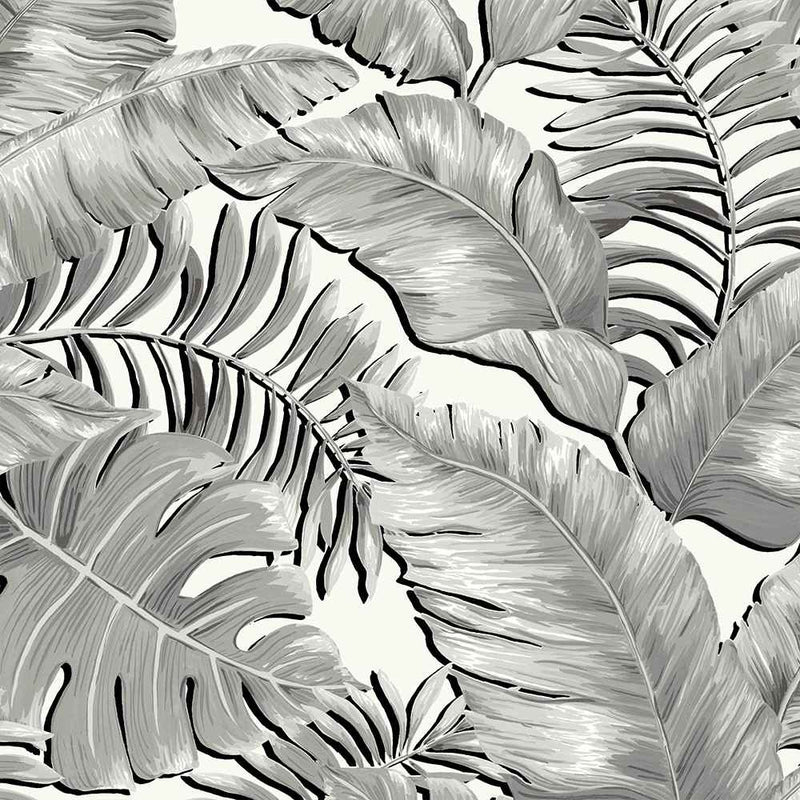 Banana Leaves Wallpaper - Black & White - Brand Mckenzie
