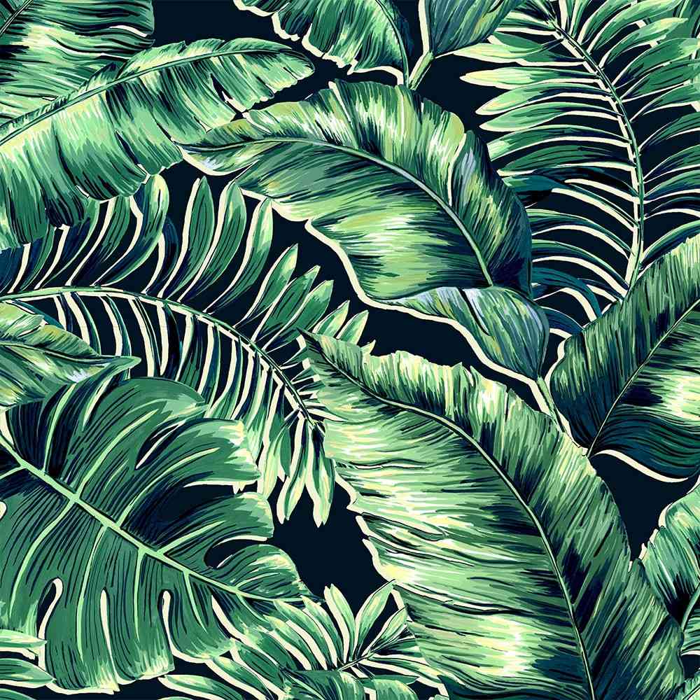 Banana Leaves Wallpaper - Leaf Green - Brand Mckenzie