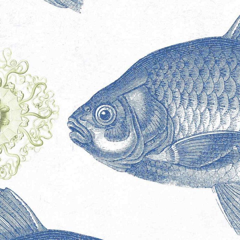 Blue Fish Wallpaper - Set of 3 Rolls - MINDTHEGAP